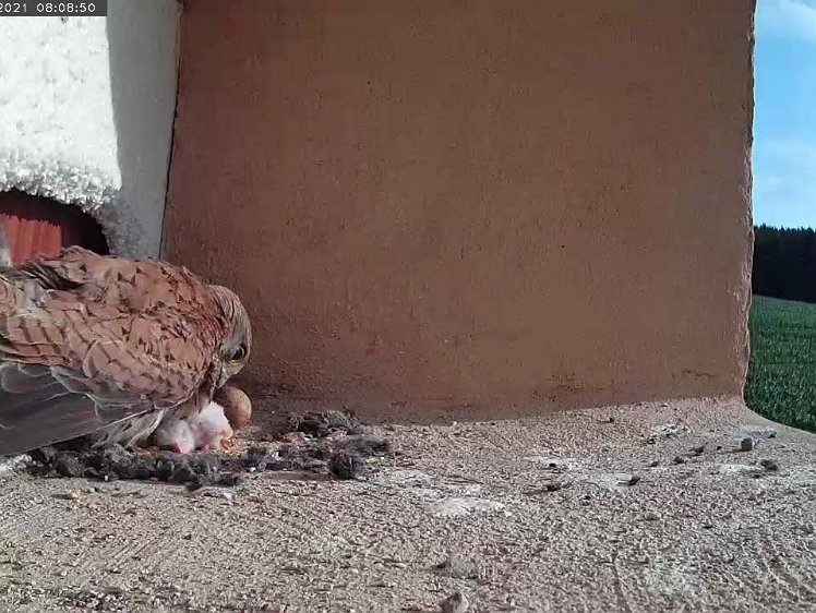 Frame_2021-07-09_08-08-50